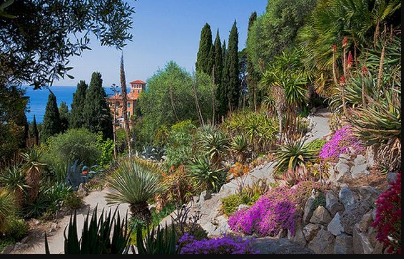 Giardini Botanici Hanbury, Latte, Italy, Italy